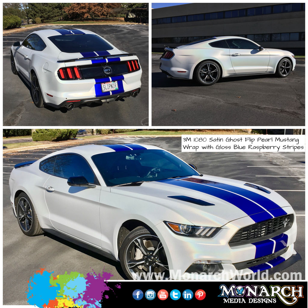 Mustang Wrap Collage
